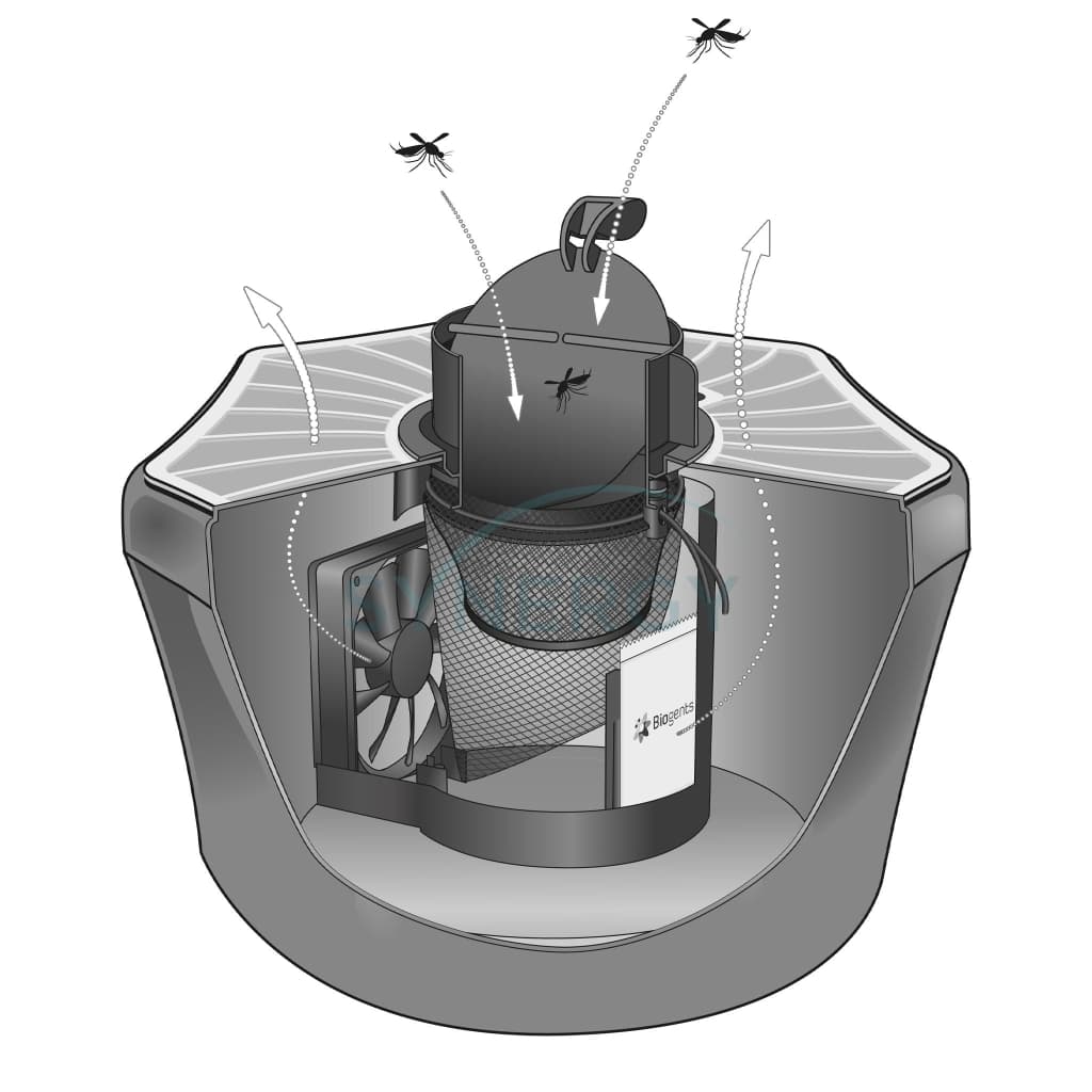 BG-Mosquitaire Trap