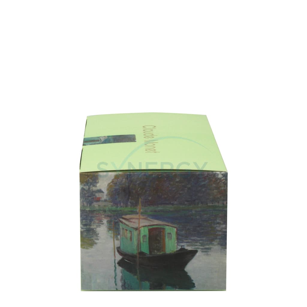 Monets Studio Boat Pleated Mask (Box Of 30S)