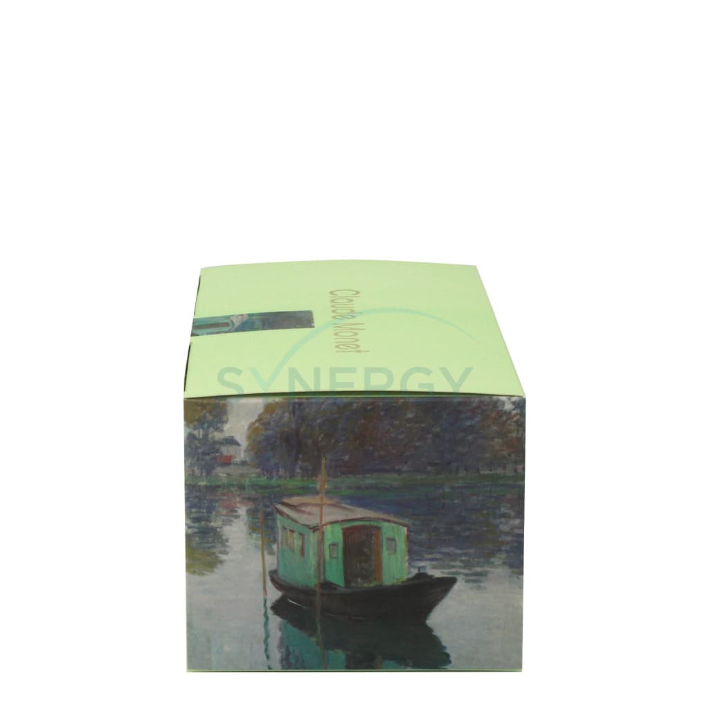 Monets Studio Boat Pleated Mask (Box Of 30S)