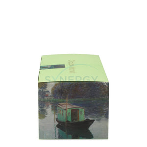 
            
                Load image into Gallery viewer, Monets Studio Boat Pleated Mask (Box Of 30S)
            
        